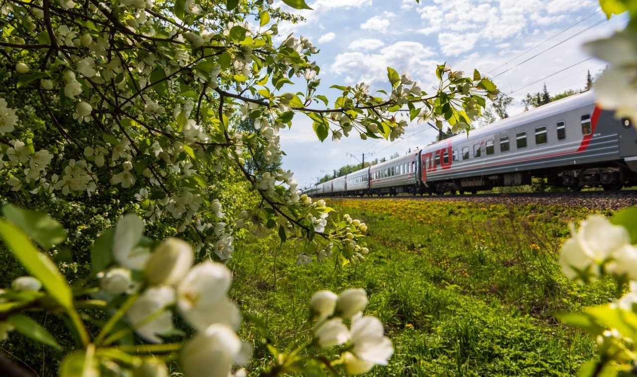 Консолидированная чистая прибыль РЖД упала в 22 раза