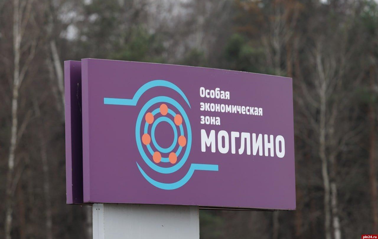 В Пскове планируют выпускать кожухи зубчатой передачи локомотивов